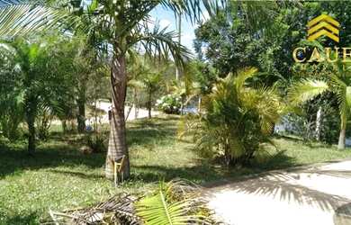 Imagem 5: Belíssimo sítio 1670m², c/casa 4 dormitórios e piscina com vista para o lago