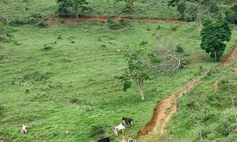 Imagem: VENDE-SE FAZENDA COM 7.3 HACTARIO