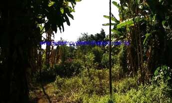 Imagem 3: Sitio vendo Ilhabela no sul São Pedro