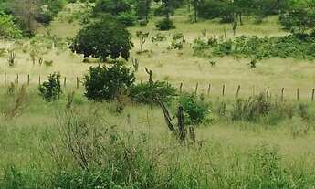 Imagem 2: Fazenda próxima a Itaberaba com duas casas, curral, poço artesiano, boas aguadas