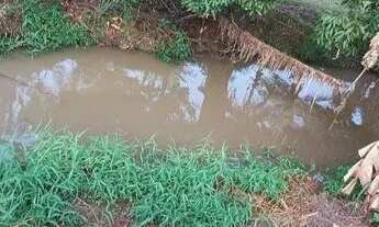 Imagem 3: Venda de uma chácara