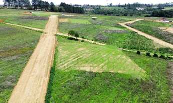 Imagem 3: Lotes de 600m² Terreno / lote com venda por R$60.000