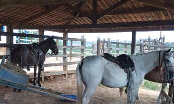 Imagem 7: Fazenda próxima a Itaberaba com duas casas, curral, poço artesiano, boas aguadas