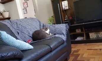 Imagem 2: Vendo ou troco apto 3 quartos no bairro São Lucas