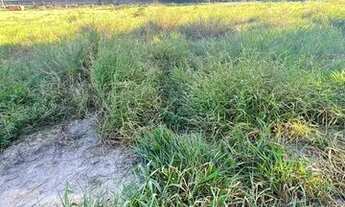 Imagem 4: Vendo - terreno em Laranjeiras Velha- ES