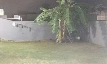 Imagem 4: Vendo casa a 100 metros da rodovia, com 2 quartos amplos, planejados, quintal com planta