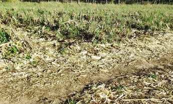 Imagem 2: Terrenos Em Atibaia Parcelamos Sem Juros Aceitamos Veiculos. DF-::bL01aD