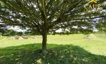 Imagem: Sítio de 2 hectares com casa e açude