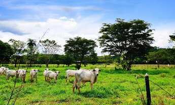 Imagem 5: Fazendinhas 20.000m2 Muita Água e Terra p Plantio 25.920 + Parcelas