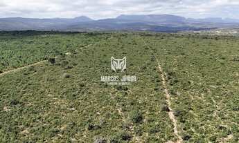 Imagem: VENDO FAZENDA PARA PLANTIO DE CAFE, EUCALIPTO