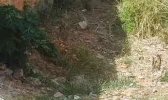 Imagem: Lote bairro Delfino Magalhães