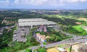 Imagem 4: Galpão para alugar, 6706 m² por R$ 207.828,85/mês - Nucleo Habitacional Rubens Costa Cia I