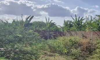 Imagem 5: Terreno 12x25 Oliveira brito