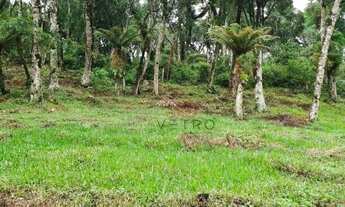 Imagem 6: Terreno em São Francisco de Paula!