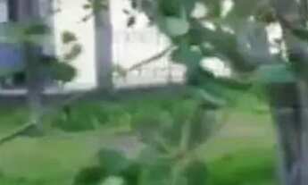 Imagem 7: Casa em barra grande vera cruz