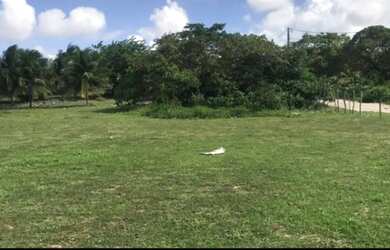 Imagem 3: Terrenos em Jenipabú