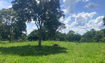 Imagem 5: Fazenda a venda em Pontalina Goiás!!!