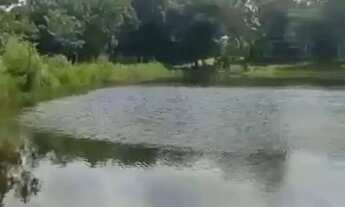 Imagem 7: Chácara à venda em Matrinchã, Goiás 15 Alqueires