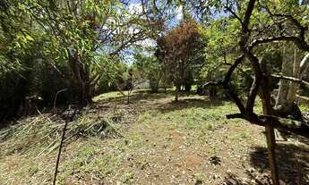 Imagem 5: Ibiúna Chácara para seu lazer e descanso com muito verde e tranquilidade