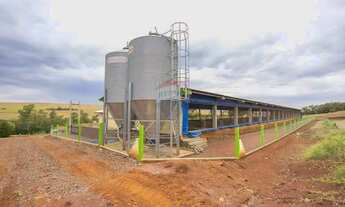 Imagem 10: Granja de Suínos Terminação