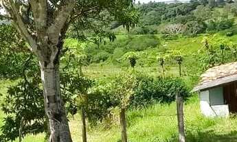 Imagem 6: Vendo o troco terreno