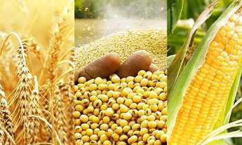 Imagem: Vende-se Franquia Especializada em Commodities