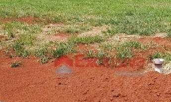 Imagem 6: Terreno à venda, 200 m² por R$ 290.000,00 - Residencial Terras da Fazenda - Ala das Flores