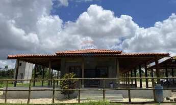 Imagem 2: Sítio dos Sonhos: 20 Tarefas á 15 min do centro, Imperdível!