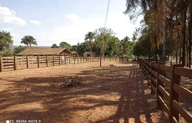 Imagem 7: Fazenda 65 alquires em Baliza GO