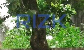 Imagem 4: Terreno Aclimação/Liberdade - Venda