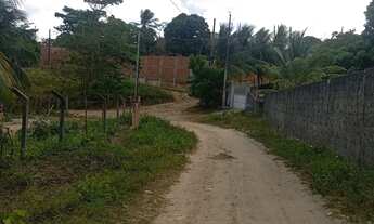 Imagem 2: Terreno na pitanga