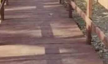 Imagem 4: Terreno Chácara de Recreio Cond. Paraiso dos Ipês