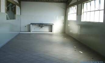 Imagem 7: GALPÃO - RIBEIRÃO DOS PORCOS - SP