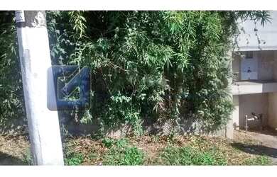 Imagem 7: Terreno Residencial de 937,50 m² em São Bernardo do Campo (Rio Grande