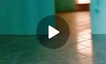 Imagem 4: Casa Térreo Casa com 2 dormitórios