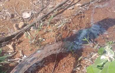 Imagem 5: Vendo chácara excelente localização