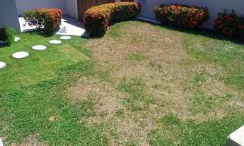 Imagem 4: Belíssima Casa em Candelária