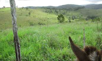 Imagem 6: Fazenda 270 ha para gado em Ubatã - Ba