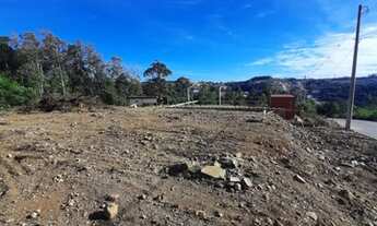 Imagem 5: CAXIAS DO SUL - Terreno Padrão - DIAMANTINO