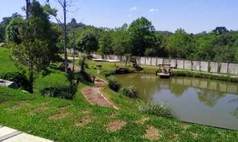 Imagem 5: CAXIAS DO SUL - Terreno Padrão - PADANCINO