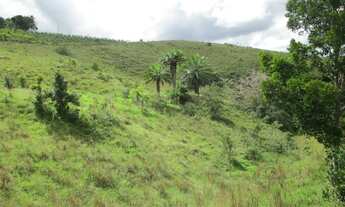 Imagem 7: Fazenda 270 ha para gado em Ubatã - Ba