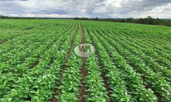 Imagem 2: Fazenda plantando lavoura