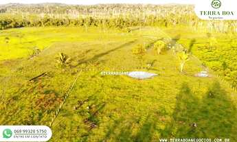 Imagem 5: SÍTIO 35 ALQUEIRES TODO ABERTO JACI PARANÁ/RO