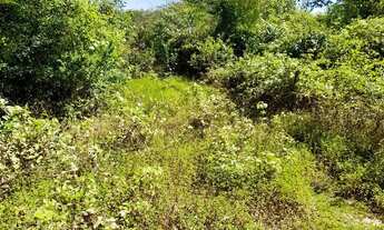 Imagem 7: Vendo terreno na estrada da produção