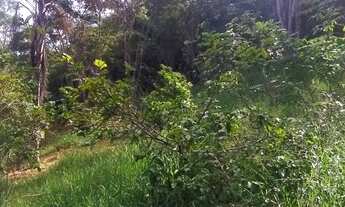 Imagem 4: BARãO DE COCAIS - Sítio - Zona Rural