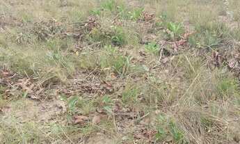 Imagem 2: Lote/Terreno no bairro Santa Rita - Maracanã - Jarinu/SP com 250 metros quadrados