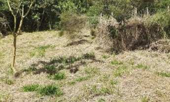 Imagem 4: Chácara a venda