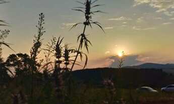 Imagem: R4- Garanta o seu por apenas 50k!