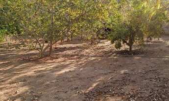 Imagem 5: Fazendinha 121 Hectares !!!Água de Rio!!!Energia Trifásico!!!60 km M Claros!!!