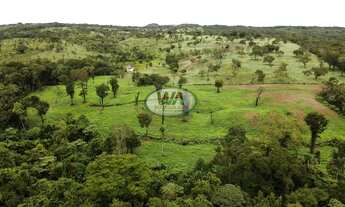 Imagem 6: Fazenda com terras de pretas de cultura